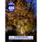 Lot de 5x Projecteurs LED solaire  Série AJUST V3 - CCT (Couleur Changeante en Température ) - Rendu lumineux 400 Watts - 2800 Lumens - 120° - IP65 - Lampe 36 x 30 x 5 cm - Panneau MONOCRISTALLIN 39 x 30 x 2 cm - Télécommande - Capteur crépusculaire