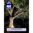 Lot de 5x Projecteurs LED solaire  Série AJUST V3 - CCT (Couleur Changeante en Température ) - Rendu lumineux 400 Watts - 2800 Lumens - 120° - IP65 - Lampe 36 x 30 x 5 cm - Panneau MONOCRISTALLIN 39 x 30 x 2 cm - Télécommande - Capteur crépusculaire